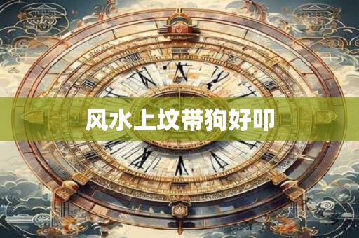 风水上坟带狗好叩