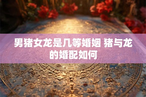 男猪女龙是几等婚姻 猪与龙的婚配如何