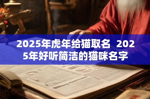 2025年虎年给猫取名  2025年好听简洁的猫咪名字