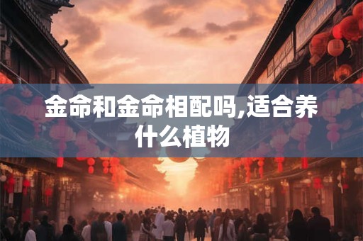 金命和金命相配吗,适合养什么植物