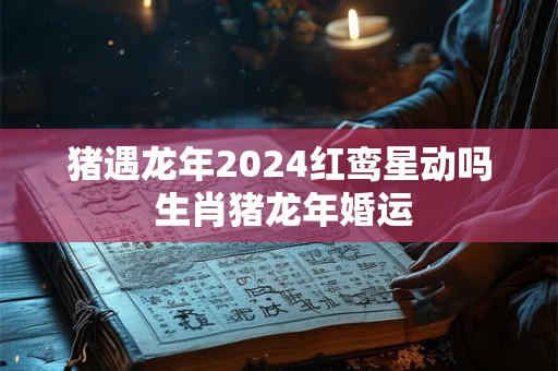 猪遇龙年2024红鸾星动吗 生肖猪龙年婚运