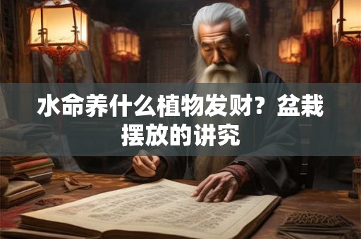 水命养什么植物发财？盆栽摆放的讲究