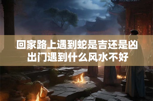 回家路上遇到蛇是吉还是凶 出门遇到什么风水不好