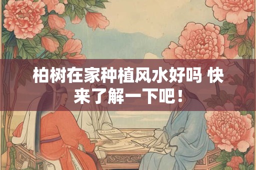柏树在家种植风水好吗 快来了解一下吧！
