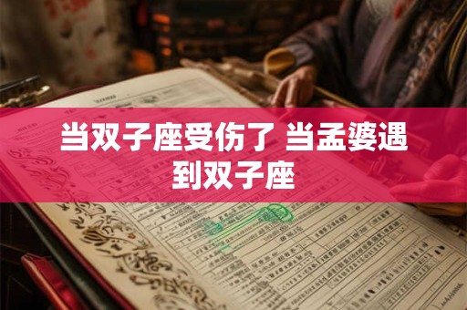 当双子座受伤了 当孟婆遇到双子座