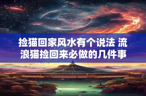 捡猫回家风水有个说法 流浪猫捡回来必做的几件事