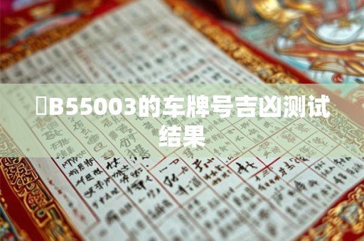 遼B55003的车牌号吉凶测试结果