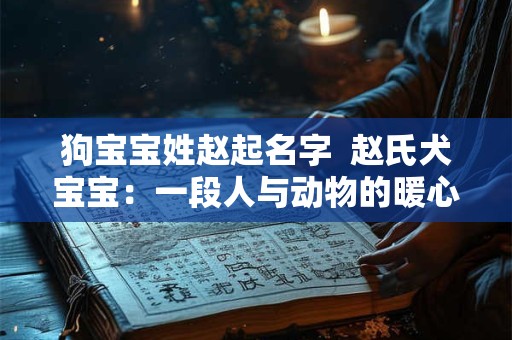 狗宝宝姓赵起名字  赵氏犬宝宝：一段人与动物的暖心传奇