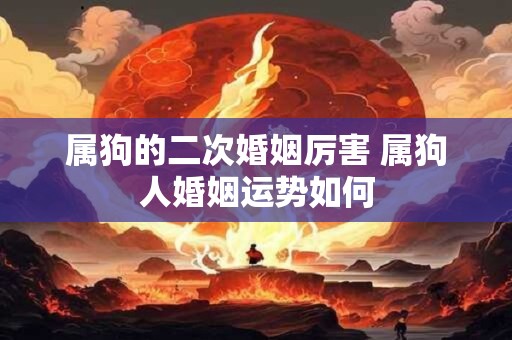属狗的二次婚姻厉害 属狗人婚姻运势如何