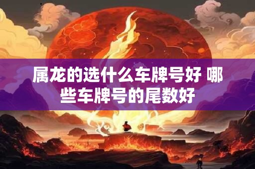 属龙的选什么车牌号好 哪些车牌号的尾数好