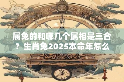 属兔的和哪几个属相是三合？生肖兔2025本命年怎么样？