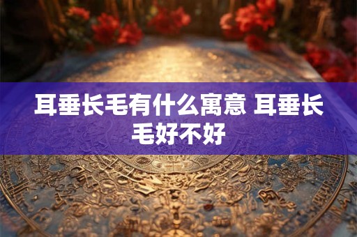 耳垂长毛有什么寓意 耳垂长毛好不好