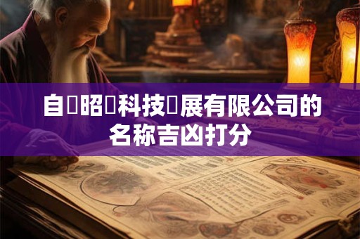 自貢昭齊科技發展有限公司的名称吉凶打分