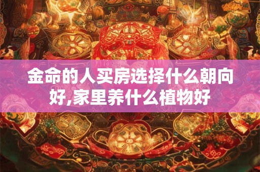 金命的人买房选择什么朝向好,家里养什么植物好