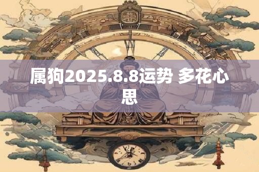 属狗2025.8.8运势 多花心思