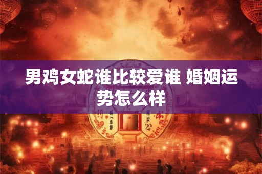 男鸡女蛇谁比较爱谁 婚姻运势怎么样