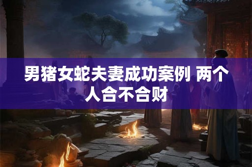 男猪女蛇夫妻成功案例 两个人合不合财