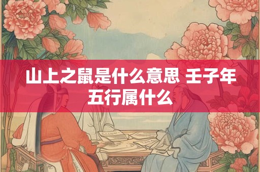 山上之鼠是什么意思 壬子年五行属什么