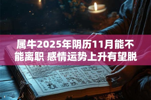 属牛2025年阴历11月能不能离职 感情运势上升有望脱单