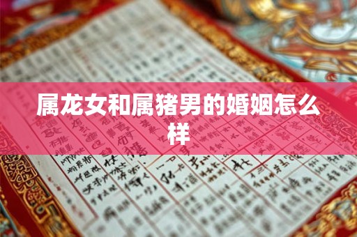 属龙女和属猪男的婚姻怎么样