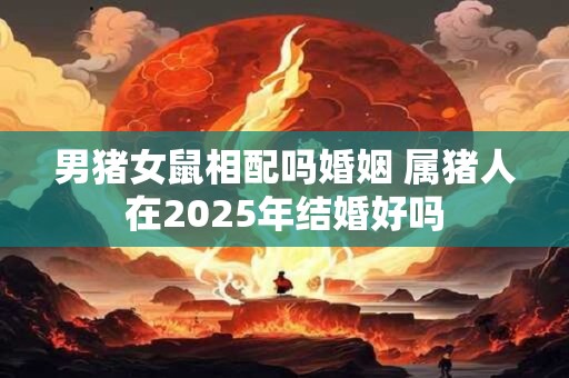男猪女鼠相配吗婚姻 属猪人在2025年结婚好吗
