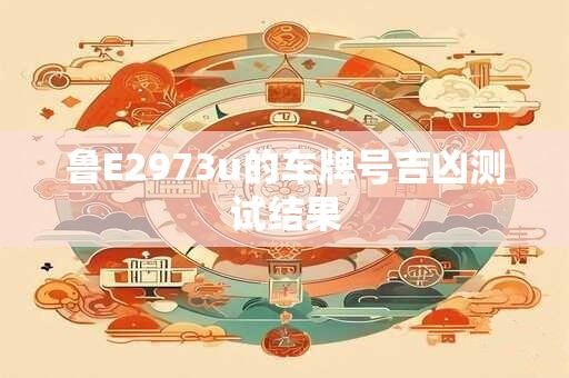 鲁E2973u的车牌号吉凶测试结果