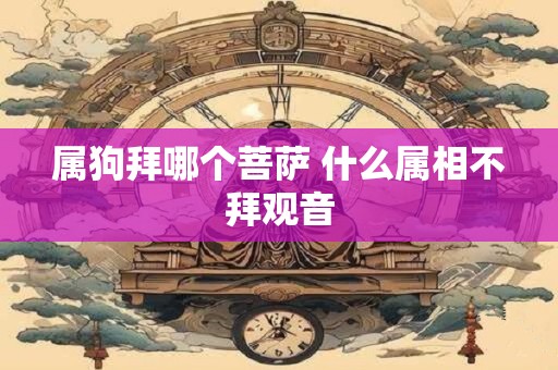 属狗拜哪个菩萨 什么属相不拜观音 属狗拜哪个菩萨 什么属相不拜观音