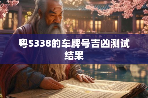 粤S338的车牌号吉凶测试结果