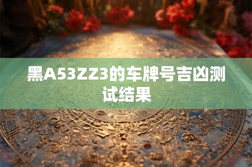 黑A53ZZ3的车牌号吉凶测试结果