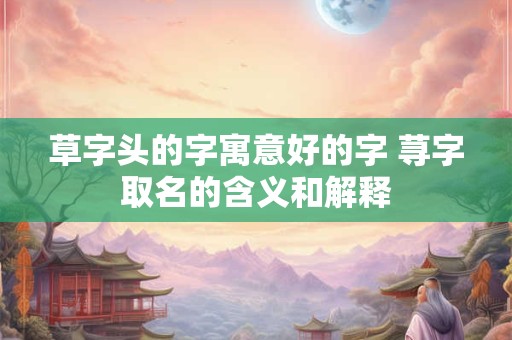 草字头的字寓意好的字 荨字取名的含义和解释