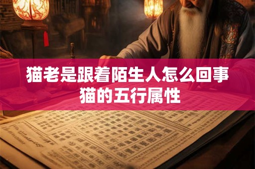 猫老是跟着陌生人怎么回事 猫的五行属性