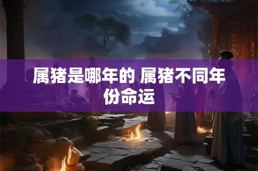 属猪是哪年的 属猪不同年份命运