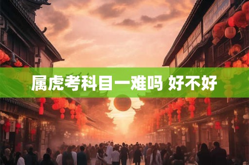 属虎考科目一难吗 好不好