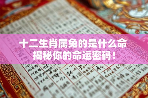 十二生肖属兔的是什么命 揭秘你的命运密码！