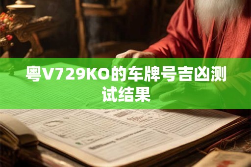 粤V729KO的车牌号吉凶测试结果