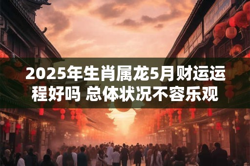 2025年生肖属龙5月财运运程好吗 总体状况不容乐观