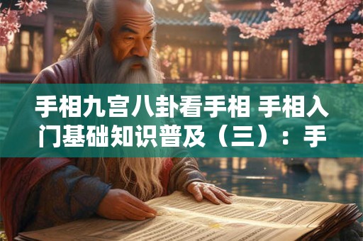 手相九宫八卦看手相 手相入门基础知识普及（三）：手掌上的八卦九宫