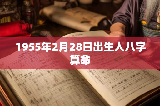 1955年2月28日出生人八字算命