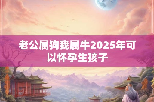 老公属狗我属牛2025年可以怀孕生孩子