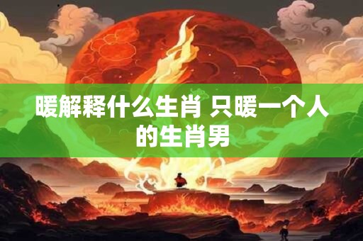 暖解释什么生肖 只暖一个人的生肖男