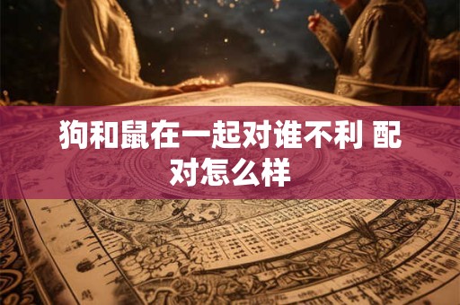 狗和鼠在一起对谁不利 配对怎么样