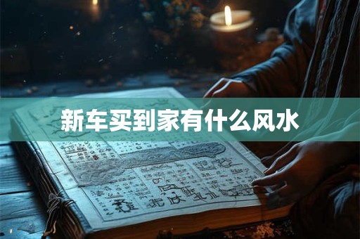 新车买到家有什么风水
