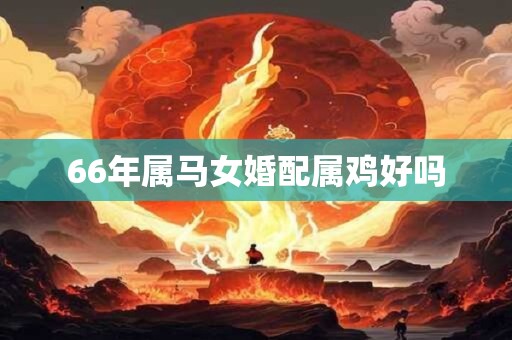 66年属马女婚配属鸡好吗