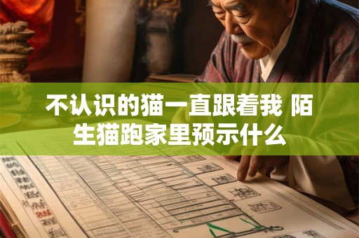 不认识的猫一直跟着我 陌生猫跑家里预示什么
