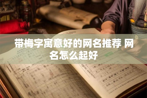 带梅字寓意好的网名推荐 网名怎么起好