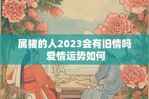 属猪的人2023会有旧情吗 爱情运势如何