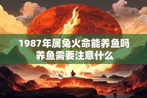 1987年属兔火命能养鱼吗 养鱼需要注意什么