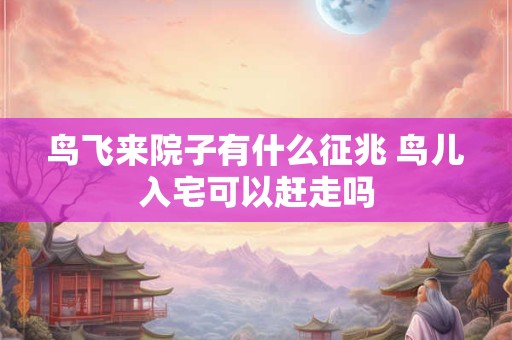 鸟飞来院子有什么征兆 鸟儿入宅可以赶走吗