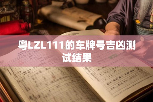 粤LZL111的车牌号吉凶测试结果
