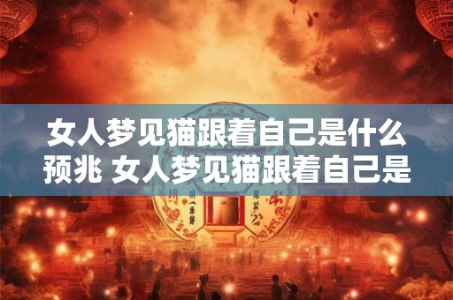 女人梦见猫跟着自己是什么预兆 女人梦见猫跟着自己是啥意思